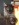 CHAT FOU